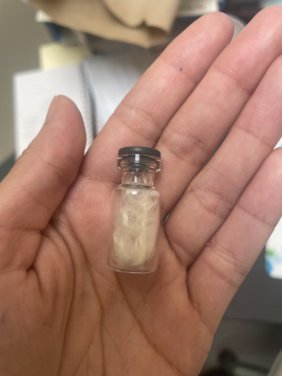 my client couldn’t afford getting the ashes back for her dog, so I made her a keepsake of fur in a vial❤️