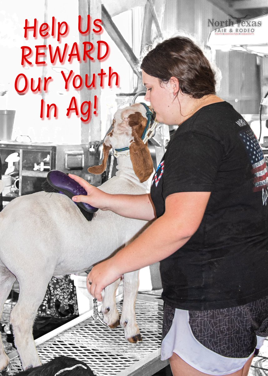 Every year, our breed champions earn belt buckles donated by people and businesses in the community. To donate a buckle, visit our website, or come by the office anytime. Thank you!

#ntfair #ntfairandrodeo #itswhatcowboysdo #itswhatcowgirlsdo #YouthInAg #livestockshows