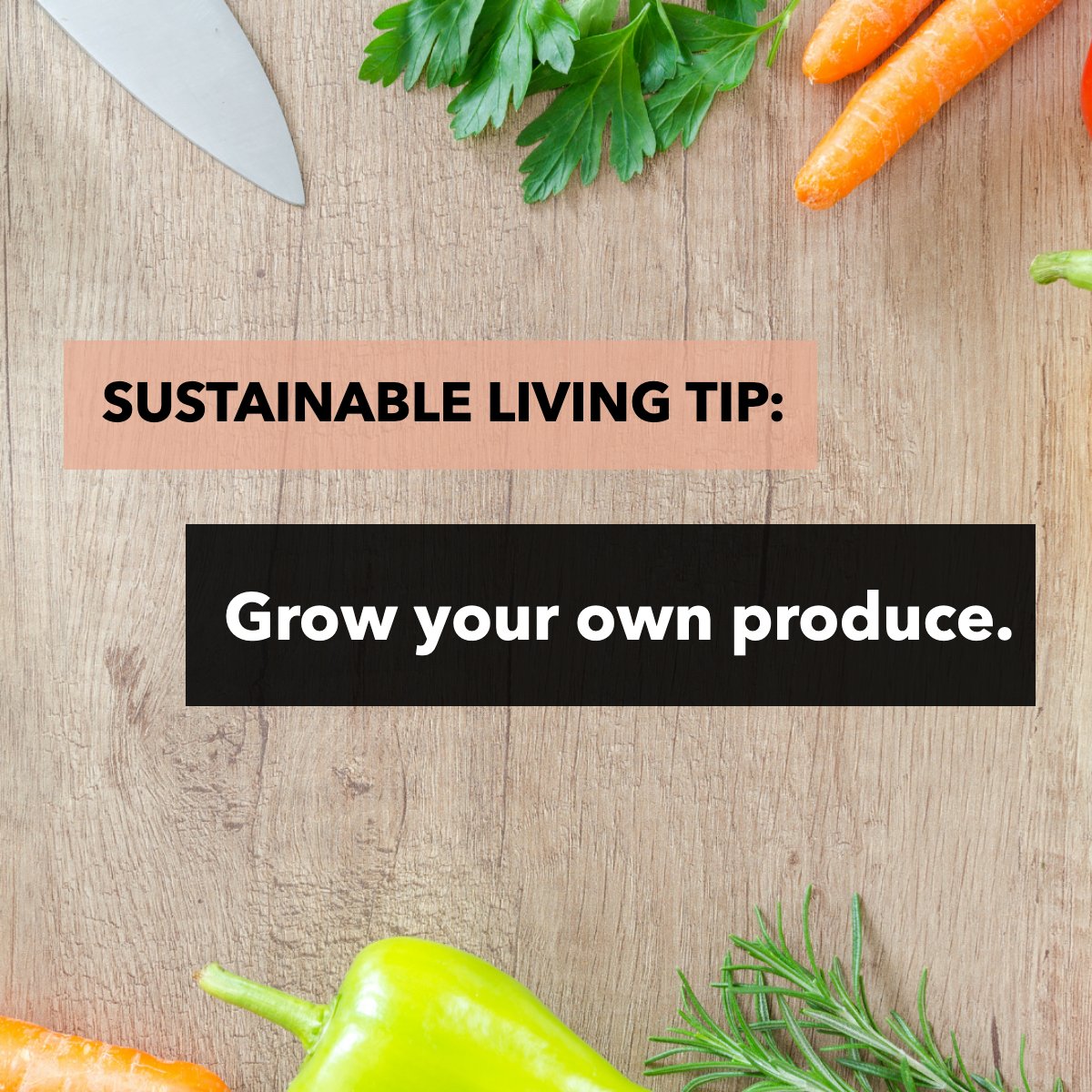 Do you cultivate some of your vegetables or food 🍅?  This is not only healthier but extremely sustainable! 

#sustainablelifestyle #sustainable #sustainablity #sustainablefood