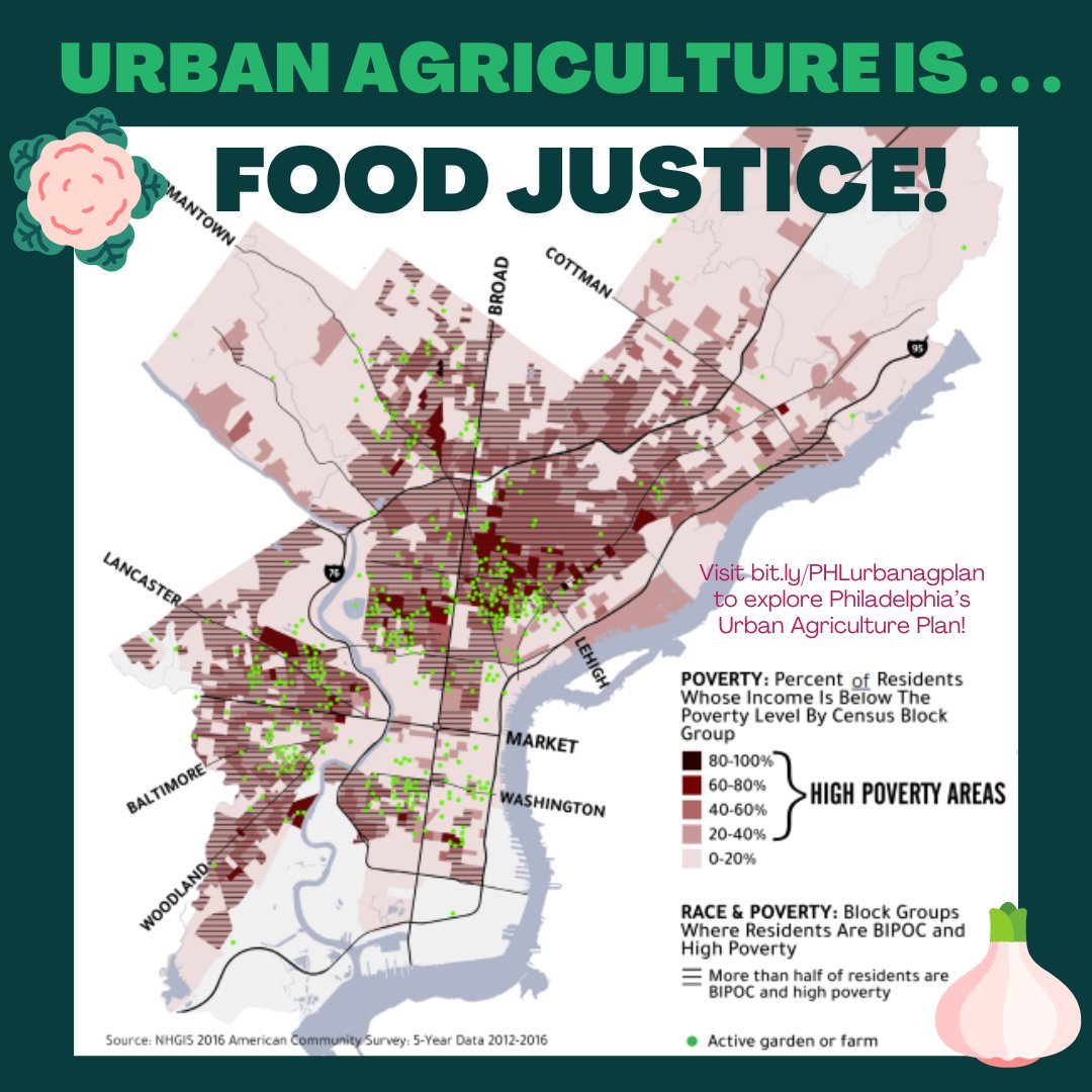 Today, @NicORourkePHL and I announced a City Council hearing on urban agriculture! Urban agriculture is food justice and racial justice. About 70% of active farms and gardens in our city are in high-poverty neighborhoods where a majority of residents are people of color.