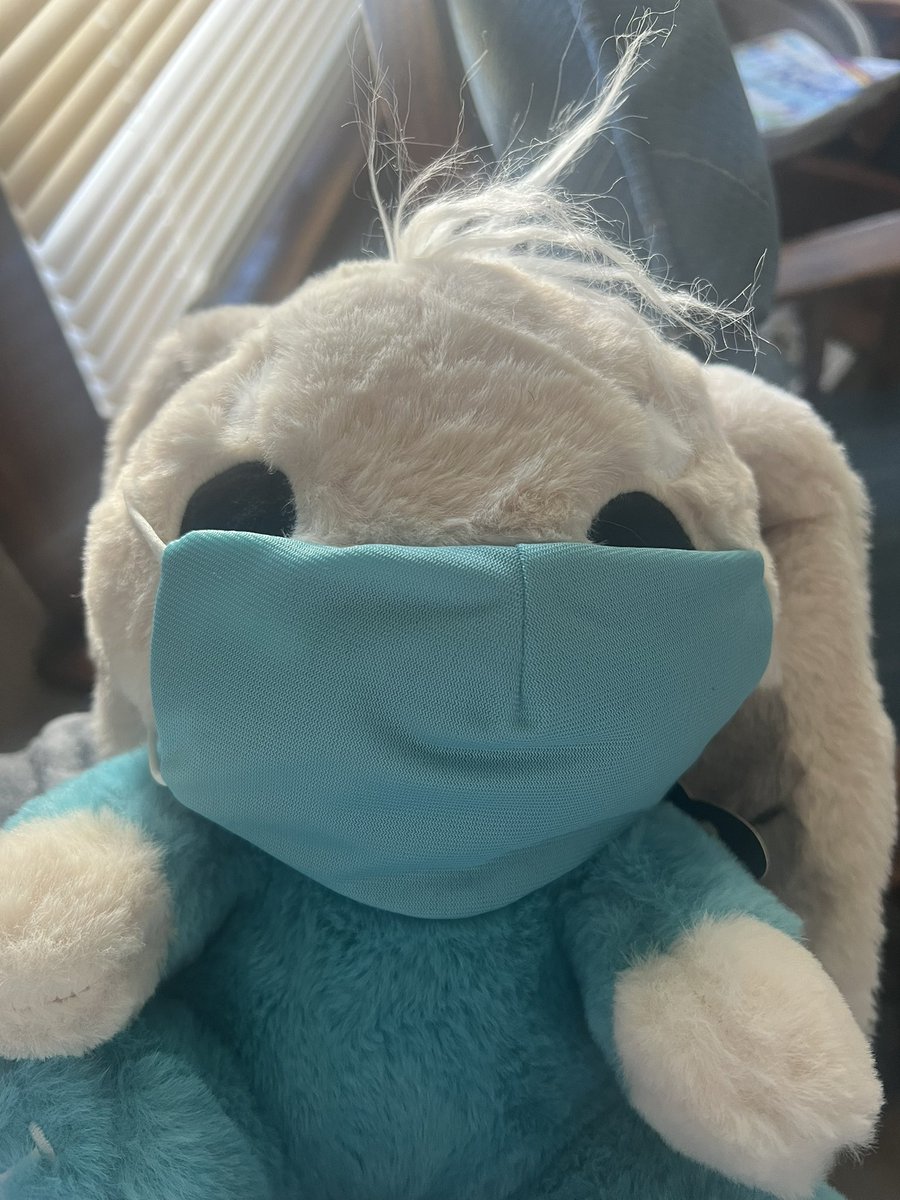 wear your masks 😷🐰🤍 (ft immunocompromised bunny @PlushieDreadful)!