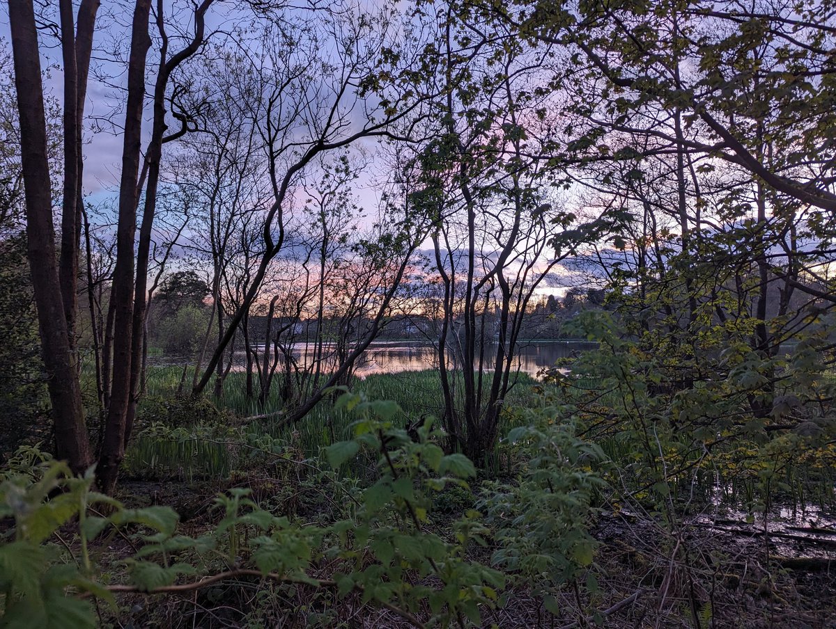 Love the beautiful lighter nights for running. Local loch looking beautiful the other night.