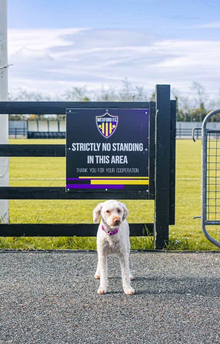 WexfordFCWomen tweet picture