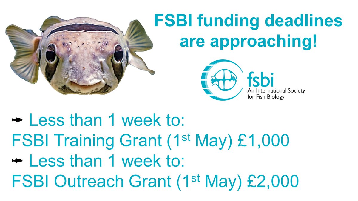 Less than one week to go for both the FSBI Outreach and the FSBI Training grant! More details here: fsbi.org.uk/training-grant/ fsbi.org.uk/outreach-grant/
