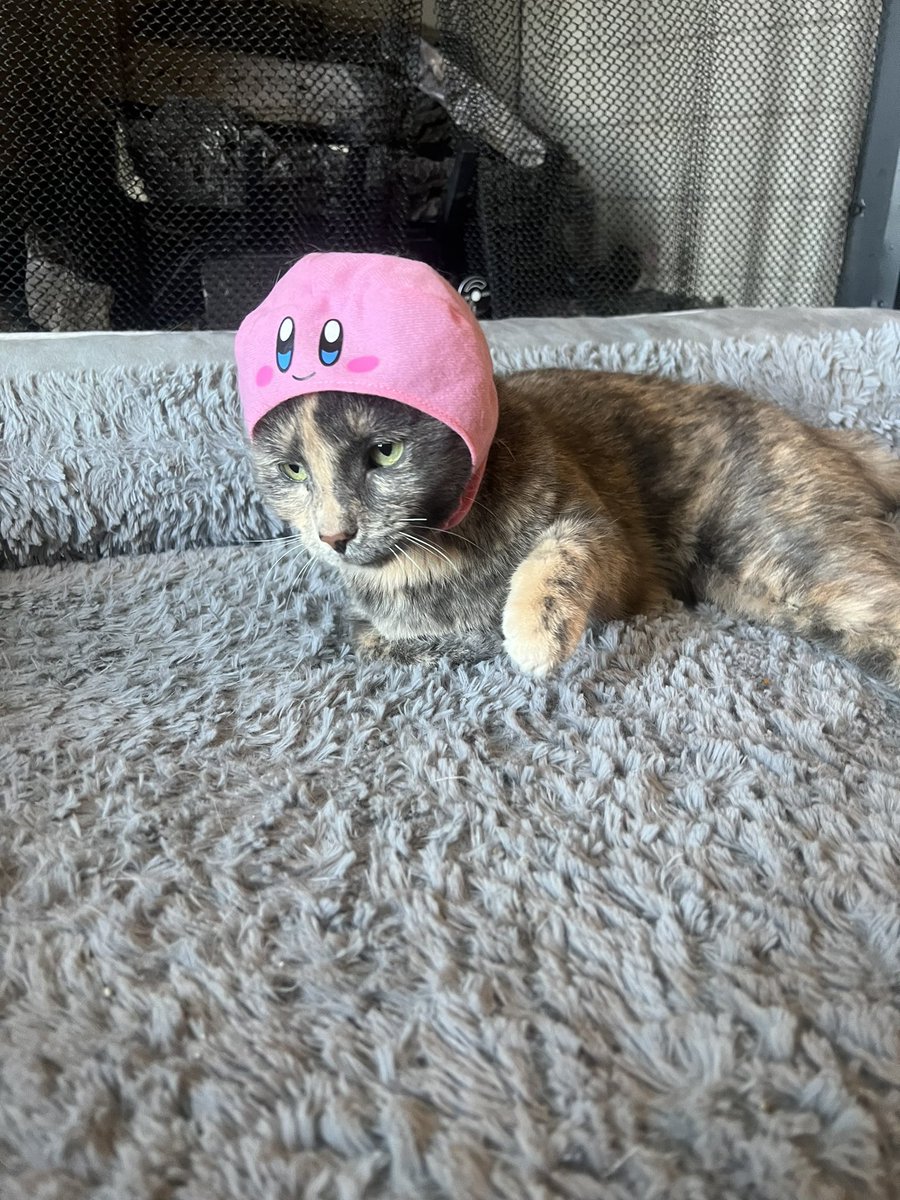 I don’t have a credit score, but I do have a Kirby hat