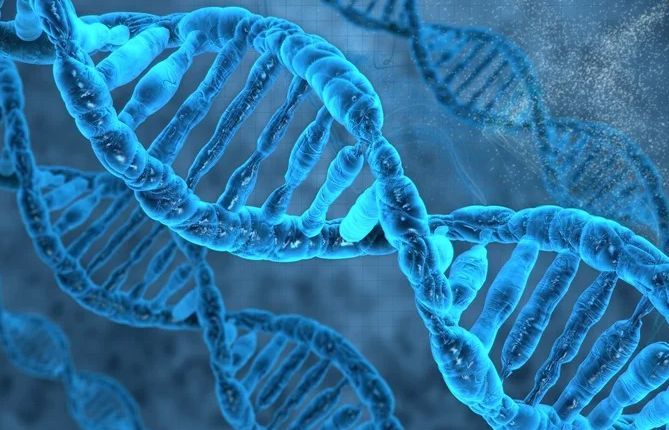 Calling all #Genomics researchers! Deadline to submit for our January 2025 special issue on "Genomics: Current &amp; Emerging Trends in the Clinical Laboratory" is June 1, 2024!
#MedTwitter #Genetics #PathTwitter #LabMedX
More info 👉 buff.ly/3w2u0Pp