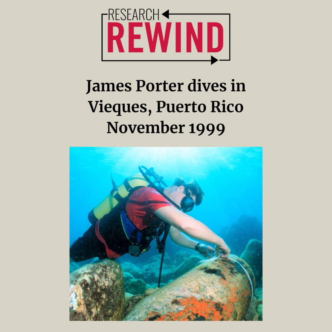 For April's #ResearchRewind, we're celebrating #EarthMonth and the UGA researchers who have dedicated their careers to studying the planet. @UGAEcology's James Porter is a professor emeritus who continues to advocate for coral reef protection. t.uga.edu/9Rf