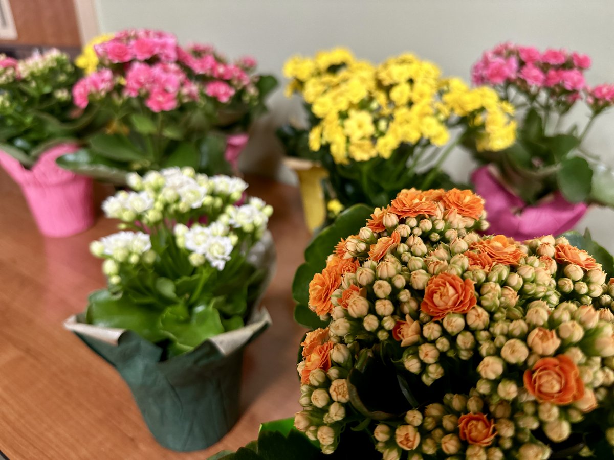 Cody Regional Health tweet media