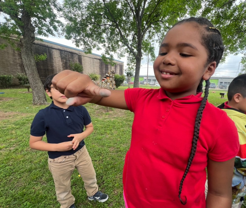 Check this out! Our 2nd Grade Boone Bears went outside to release their butterflies today🦋 #WeAreAlief #boonebears #AliefProud @AliefISD @marlomolinaro