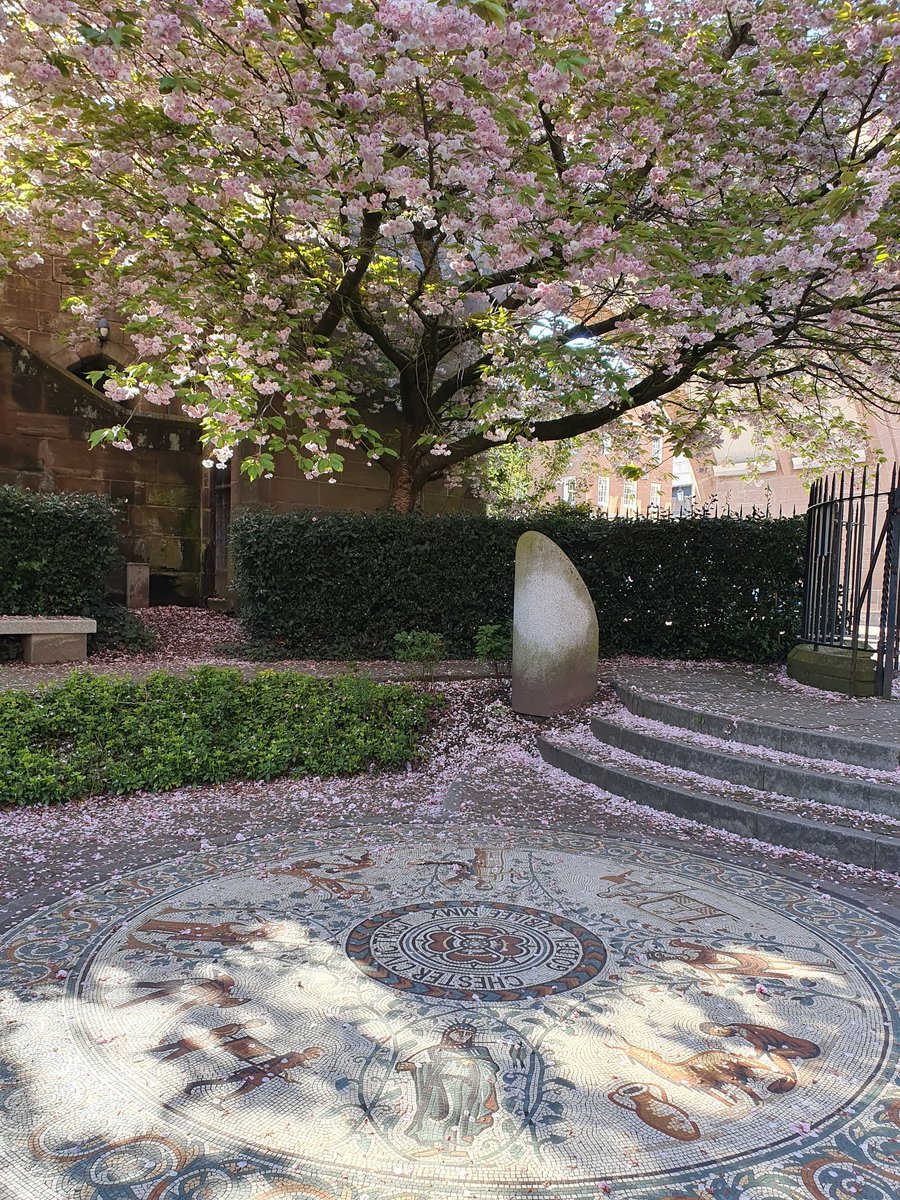 .@NatTrustArch at #CIFA24 and I couldn't help but spot this #BlossomWatch moment in the Roman Garden in Chester....