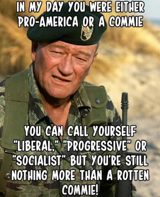 I grew up watching John Wayne with my dad, who served in the US Navy and had similar beliefs. He'd be rolling in his grave if he knew where our country has gone. Thanks a lot ya bunch of Commie Bastards!