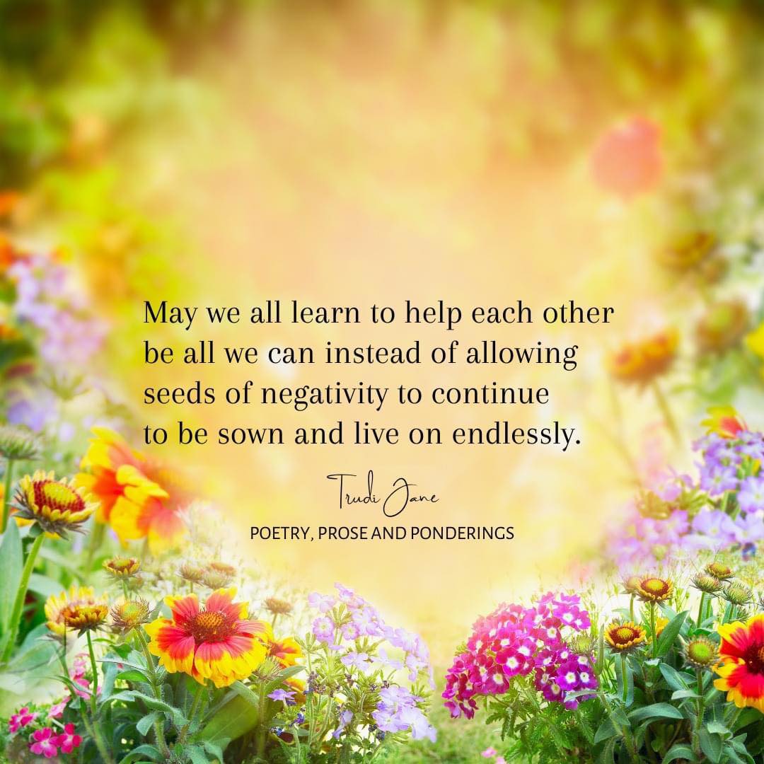 May we all learn to help each other be all we can instead of allowing seeds of negativity to continue to be sown and live on endlessly. - Trudi Jane ~ #Positivity