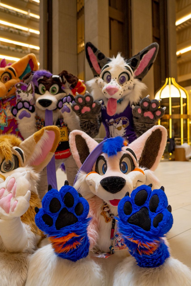 Finn770123's tweet photo. Paws up! Itโs Thursday!
๐จ @MoreFurLess
๐ธ @koopershiba
#furry #fursuit #furryfandom #morefurless #fwa #fwa23 #furryweekendatlanta #furryweekendatlanta23 https://t.co/9xxStdeZVx