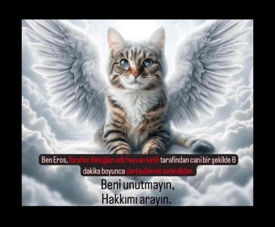 bycirkin4's tweet photo. tek basima da kalsam seni ve yaptığın seyi unutturmayacagim!

ismini her gördüğümde, aklima her geldiginde sana lanet okuyacagim keloğlan!

bir damla su vereninin olmaması umuduyla... #ibrahimkeloğlantutuklansın https://t.co/FUb01CnNf6