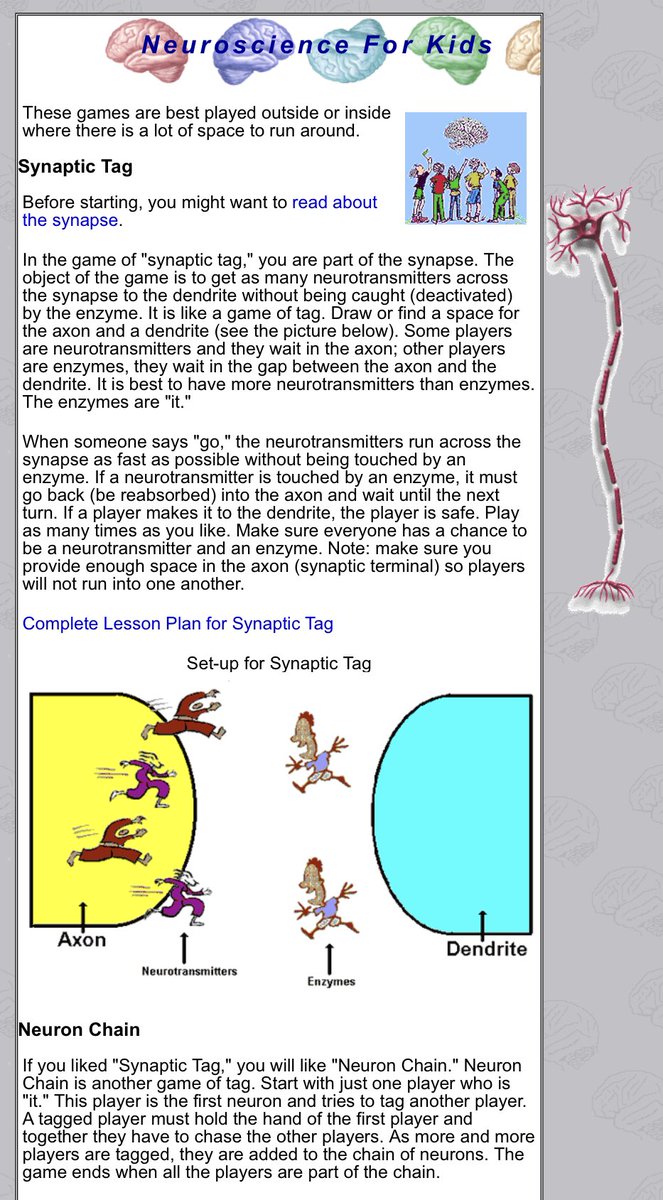 healthedgirl's tweet image. Students energized their brains 🧠 with a game of tag; while leaning about neuroscience today! I enjoyed watching the students laugh and learn at the same time!  faculty.washington.edu/chudler/leout.… #Movementbasedlearning #healthscience #GlennBobcats @GHSBobcatNation #wsfcs #CTEforNC