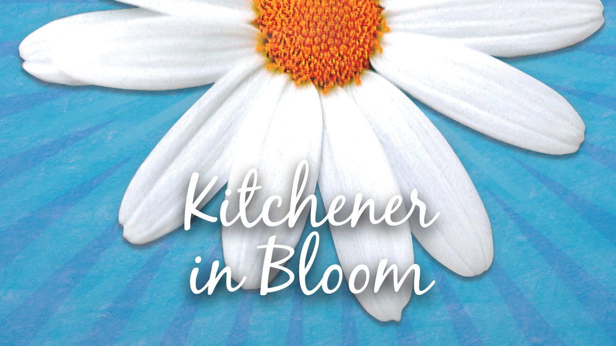 Join us for the launch of Kitchener in Bloom at #KitchenerMarket Sat April 27 from 10am-noon where you can learn about #Kitchener's garden recognition program, greening grants & enjoy make & kids take activities & free tomato seedlings while supplies last kitchener.ca/bloom