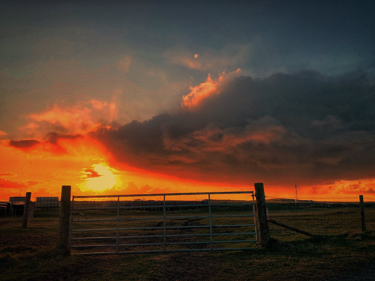 My Sunsetsky …
It’s turning very autumnal!

#ThursdayFeeling #sunset #farming #croft #GoodVibesOnly #spring #StormHour #jefinuist #outerhebrides #scotland