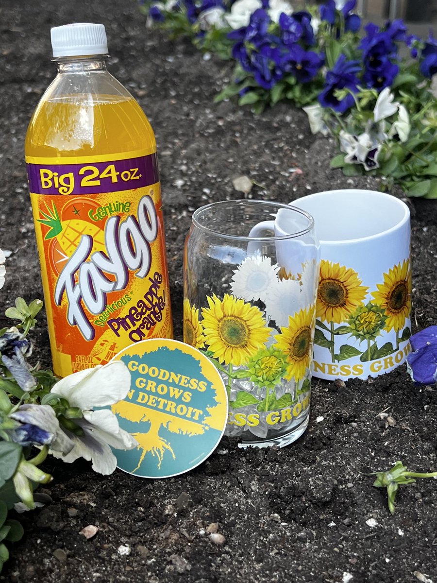 Goodness grows in Detroit!!    #Detroit #decal #Faygo #sunflower #mug #beerglass #goodness #shopPureDetroit #shopsmall #soil #flower