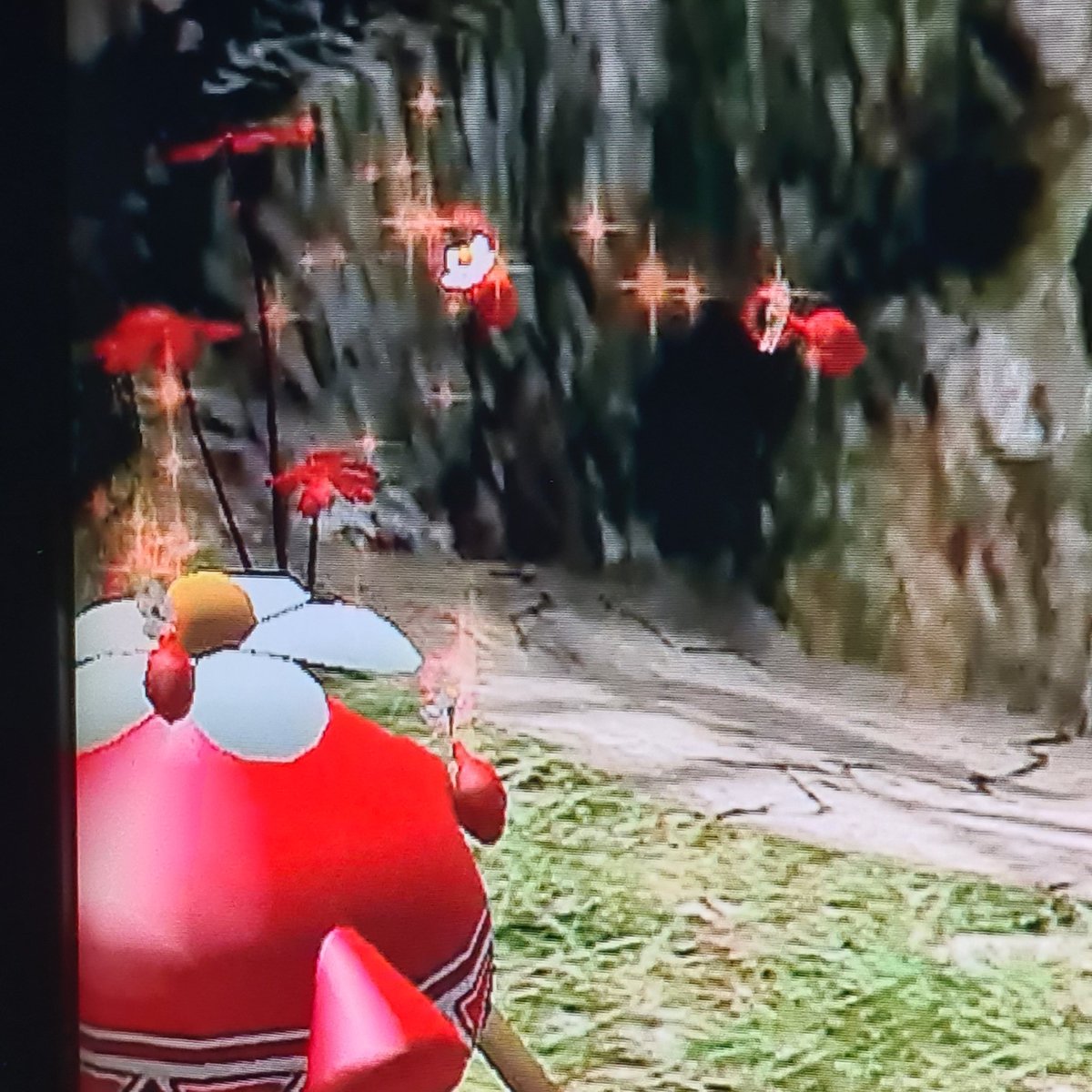 OK, new fact I learned today about #Pikmin1 . Depending on the maturity that the last plucked pikmin was, the next seed that the onion produces will be the same maturity when falling to the ground where it will then start the cycle anew (withered>leaf>bud>flower)