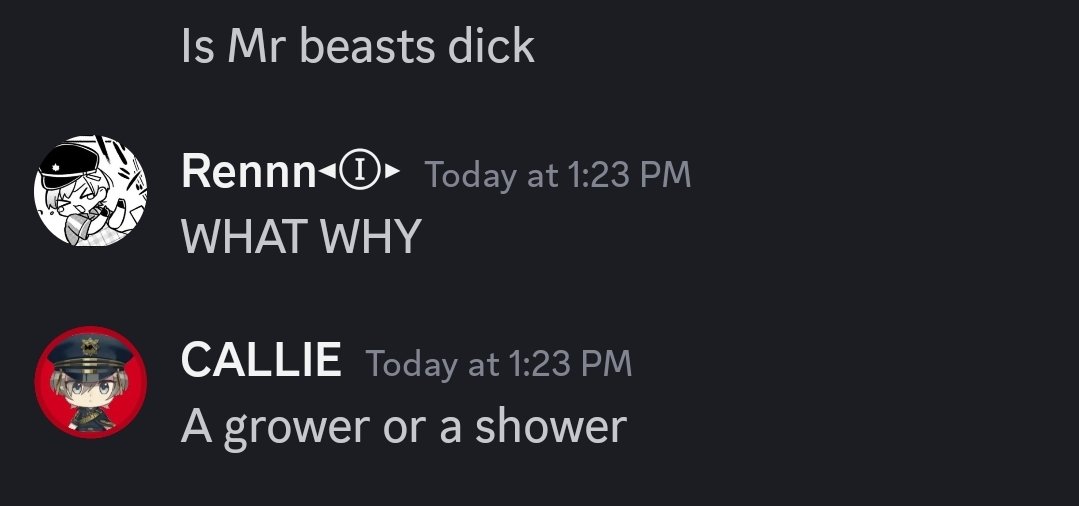 PLEASE STOP ASKING ME IF MR BEASTS DICK IS A GROWER OR A SHOWER PLEASE