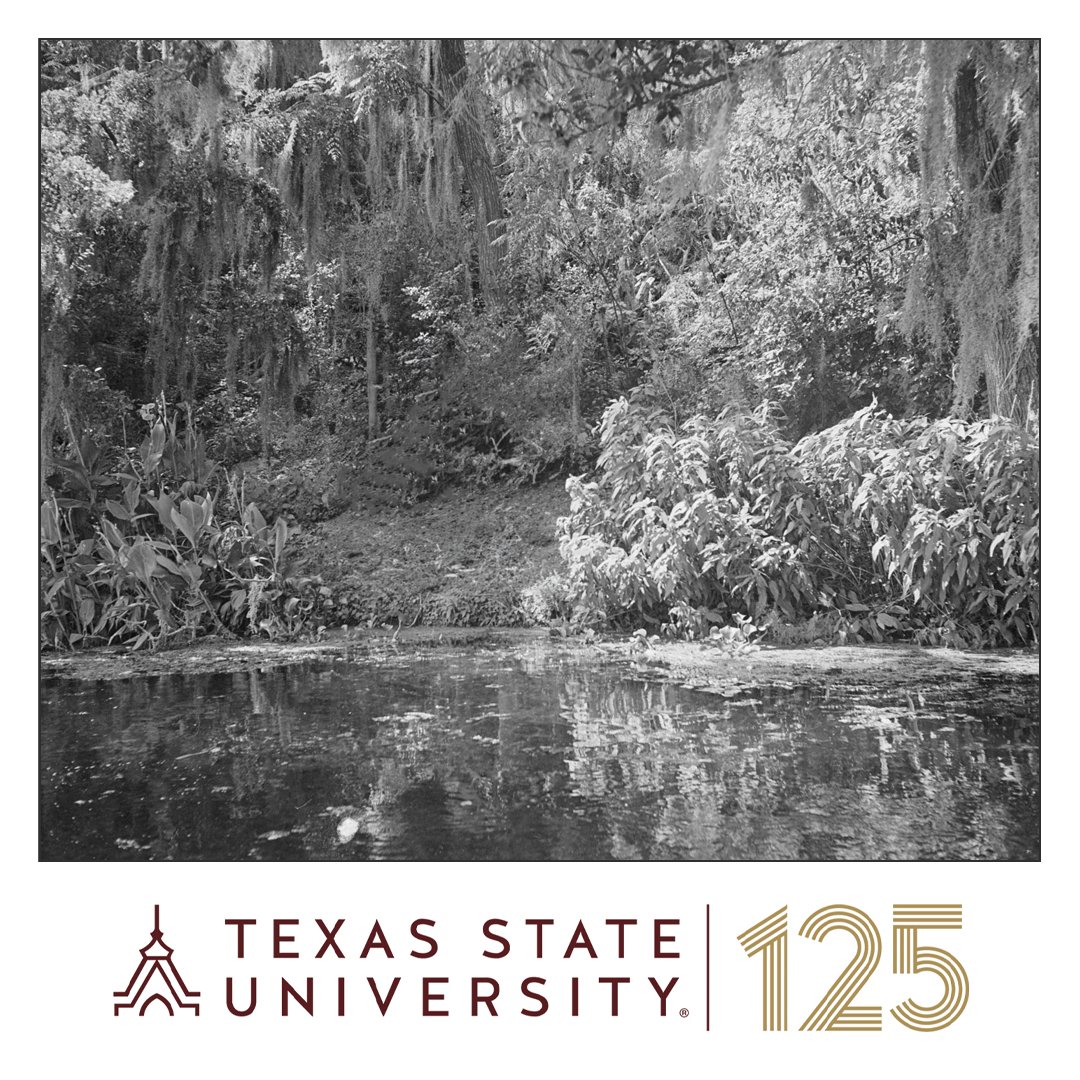 335 years ago, Alonso de Leon discovered our campus river & named it the San Marcos. It was the day after the feast of St. Mark. This river photo is from the San Marcos Daily Record negatives in our Special Collections & Archives. Learn more: ow.ly/wOnZ50RosRh #txst125