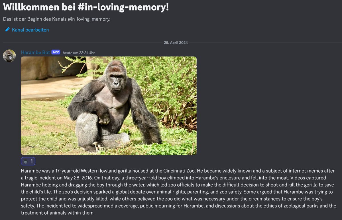 ScrollersApe's tweet photo. We have not forgotten the Ape of the Apes, Harambe. On Discord, he will guide the other Apes. 

Don't forget to visit the channel in memory and leave a reaction. 🦍

#ApesTogetherStrong https://t.co/nNsUYqyohV