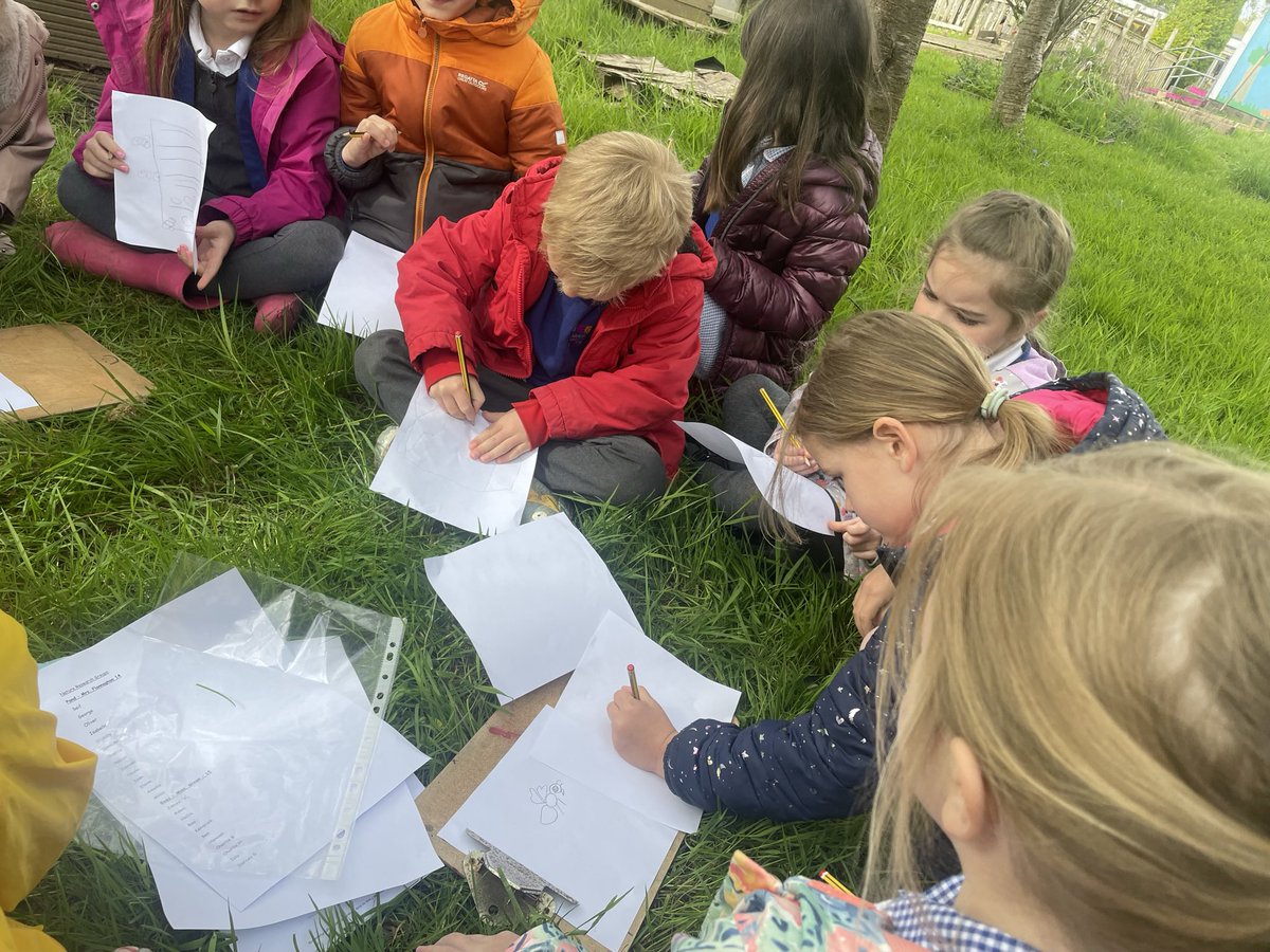 LlanFach2029's tweet photo. This week we have been nature researchers! Finding out more about our interests on the school grounds 🐝 https://t.co/xHG1ivV4WS