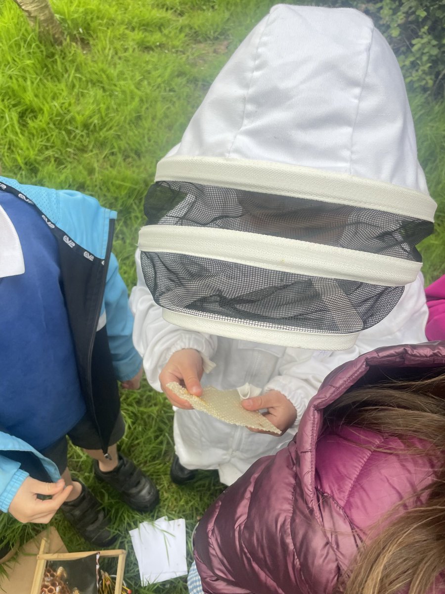 LlanFach2029's tweet photo. This week we have been nature researchers! Finding out more about our interests on the school grounds 🐝 https://t.co/xHG1ivV4WS