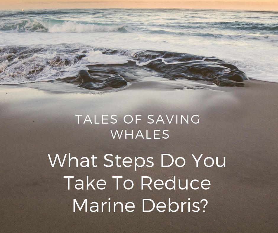 Marine debris is a 100% preventable problem! All of us can help by ensuring we're appropriately disposing of our waste - these small actions can have an exponentially big impact on our oceans. What steps are you taking to reduce marine debris?
#TalesOfSavingWhales #WhaleTales