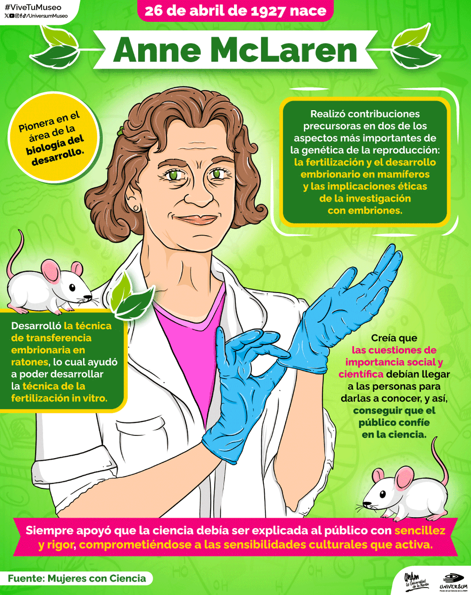 #UnDíaComoHoy nace Anne McLaren 👩🏼‍🔬🤩

Científica británica que trabajó en la biología del desarrollo y sus aportes ayudaron a crear la fertilización in vitro. 🤱🏽

Conócela 🤓👇🏽

#ViveTuMuseo