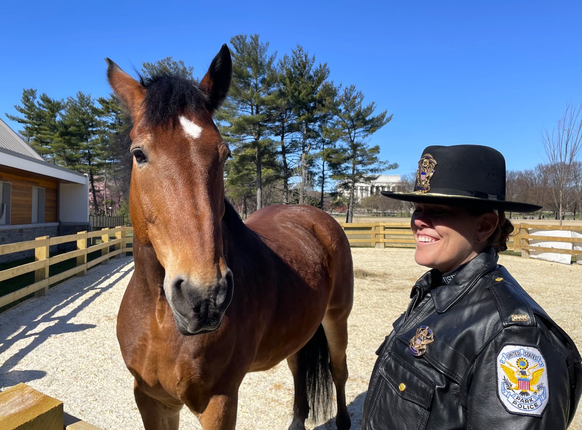 Let's get the next generation involved in #NationalParkWeek. Saturday (4/27) is Junior Ranger Day! Bring the kids by the U.S. Park Police Horse Stables to learn about the horses and earn a badge. The special event is from 12p to 3pm. Details here: nps.gov/planyourvisit/…