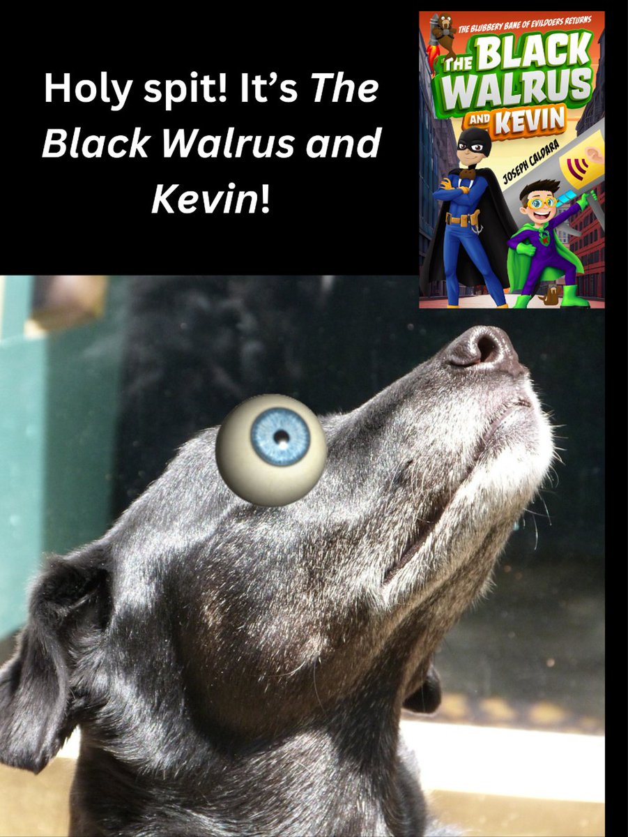 The Black Walrus and Kevin is out of this world! New MG adventure comedy novel from @Joseph_Caldara. FREE eBook TODAY: bit.ly/bwalrusk @authorsgosocial #booktwitter #writersoftwitter #middlegradebooks #booktok #middlegrade #writerslift #middlegradehumor #kidlit #weekend