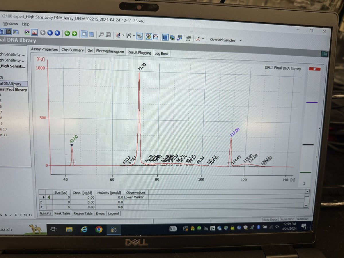 Any day we generate high quality libraries is a very HAPPY DNA Day!! 

#DNADay #DNADay2024 #singlecellsequencing #AML #MRD #multiomics #FASlife #womeninSTEM