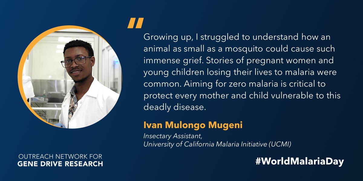 “#Genedrive could help promote #healthequity and ensure that the strides we make in combating #malaria benefit everyone.' 🧬🦟

Meet @immugeni, Insectary Assistant at the University of California Malaria Initiative @UofCalifornia ⬇️
bit.ly/3Jl9XnU

#WorldMalariaDay