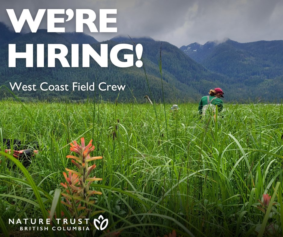 Join our team 📣 🌿 We're #hiring Crew Members who will assist with management activities with the West Coast Conservation Land Management Program. This full-time, contract position is based in Nanaimo. Learn more, apply & share with your network: bit.ly/3Uxuwnl