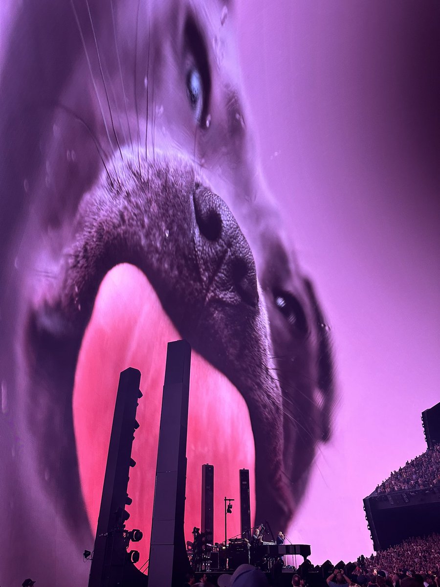 mbernardJ's tweet image. Sphere Dump. Floor left. Seats are overrated. Dicks will be it for this guy. 30 years, hanging them up.