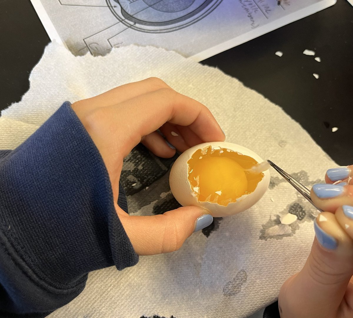 CooperScience tweet media