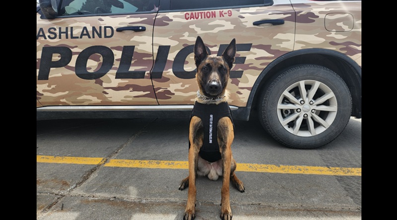 Ashland, NE Police Department’s K9 Akela has received a free protective vest sponsored by the National Police Association and embroidered with the sentiment “Gifted by NationalPolice.org” facebook.com/NationalPolice…