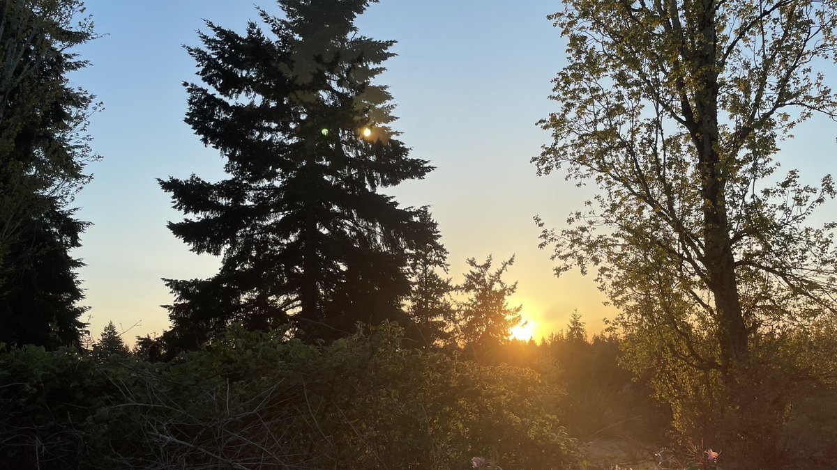 The Pacific Northwest, old friends and lots of science I don't understand.