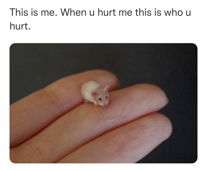 🥺🥺🥺 https://t.co/ItHolilWHb