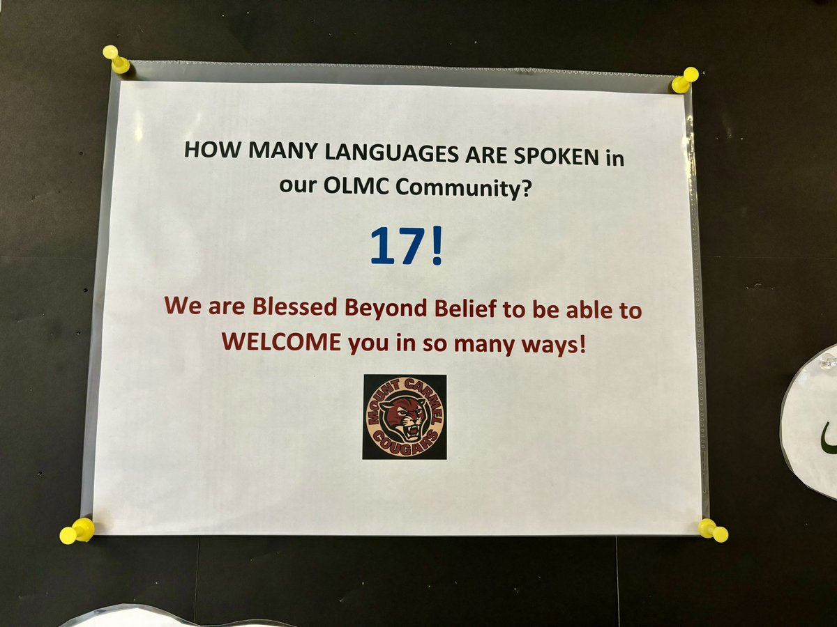 Our Lady Mt Carmel tweet media