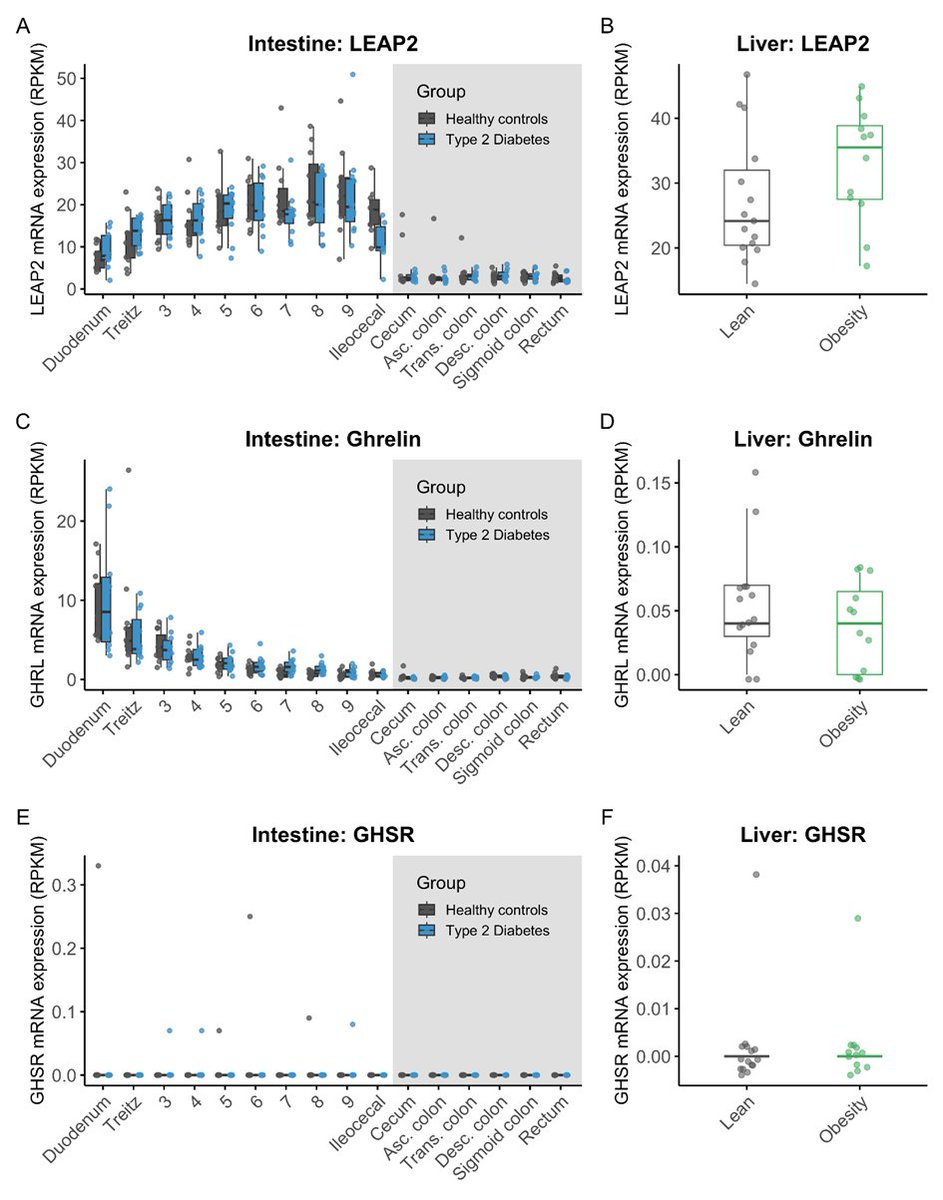 Remember that LIVER-expressed antimicrobial peptide 2 (LEAP2) also is robustly expressed in the gut🤓 Here's the expression profile💁‍♂️🤗 Intestinal Expression Profiles and Hepatic Expression of LEAP2, Ghrelin and their Common Receptor, GHSR, in Humans pubmed.ncbi.nlm.nih.gov/38657907/