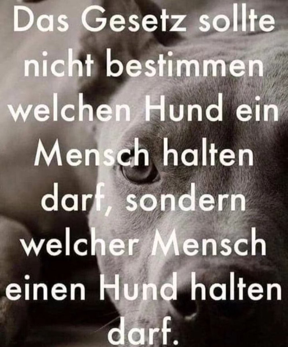 #tierschutz @Tierschutzparte #hunde #tierwohl