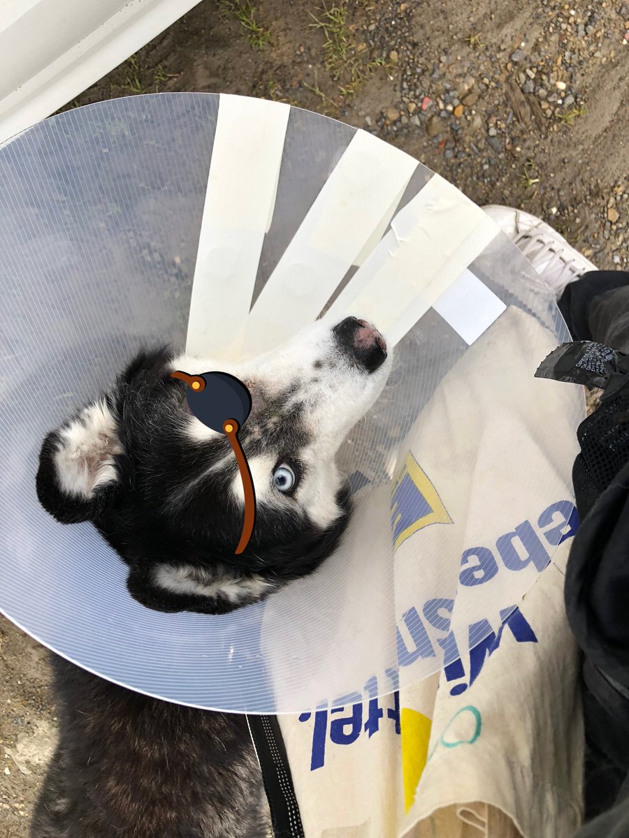 daintyd.bsky.social tweet media