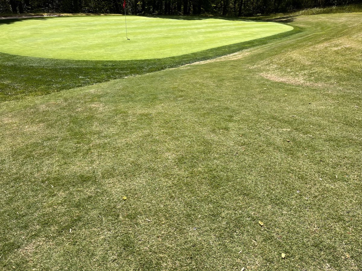 Will Dennis tweet media