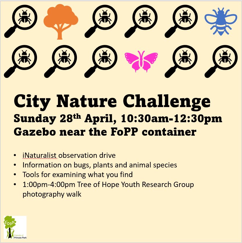 Come and join us this Sunday in the park where we’ll be getting up close to nature and recording our observations via the inaturalist app!