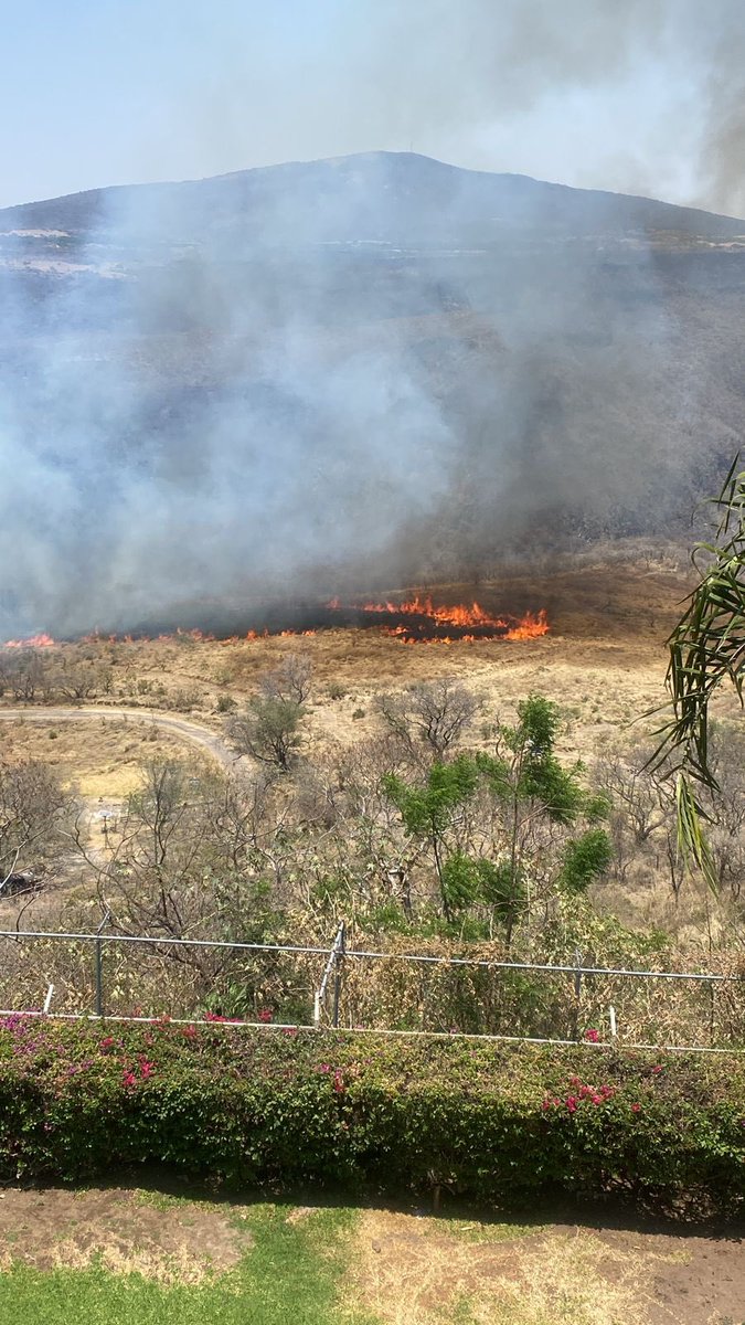 bgmerlo's tweet photo. @PCJalisco @PCYBOMGDL  Incendio en Jose Mariano Salas #3511, Jardines de la Barranca. Necesitamos ayuda ! https://t.co/cD5KuKmUh5