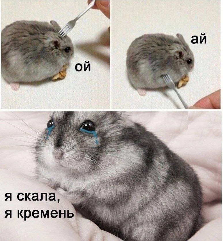 Когда друзья из раза в раз вспоминают твой кринжовый проеб: