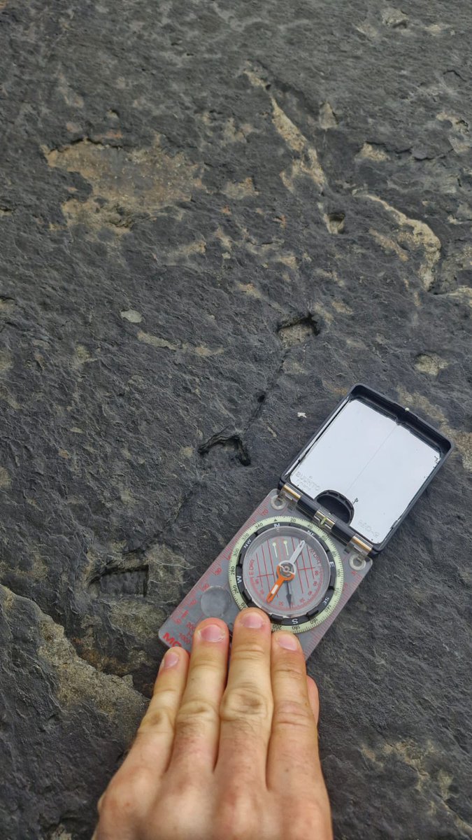 JRawlingsVolc's tweet image. Final day of the undergraduate first year geology fieldtrip to Pembrokeshire. Students completed their summative mapping exercise around St David&apos;s Head. @morgan_bugler @OceanEarthUoS
