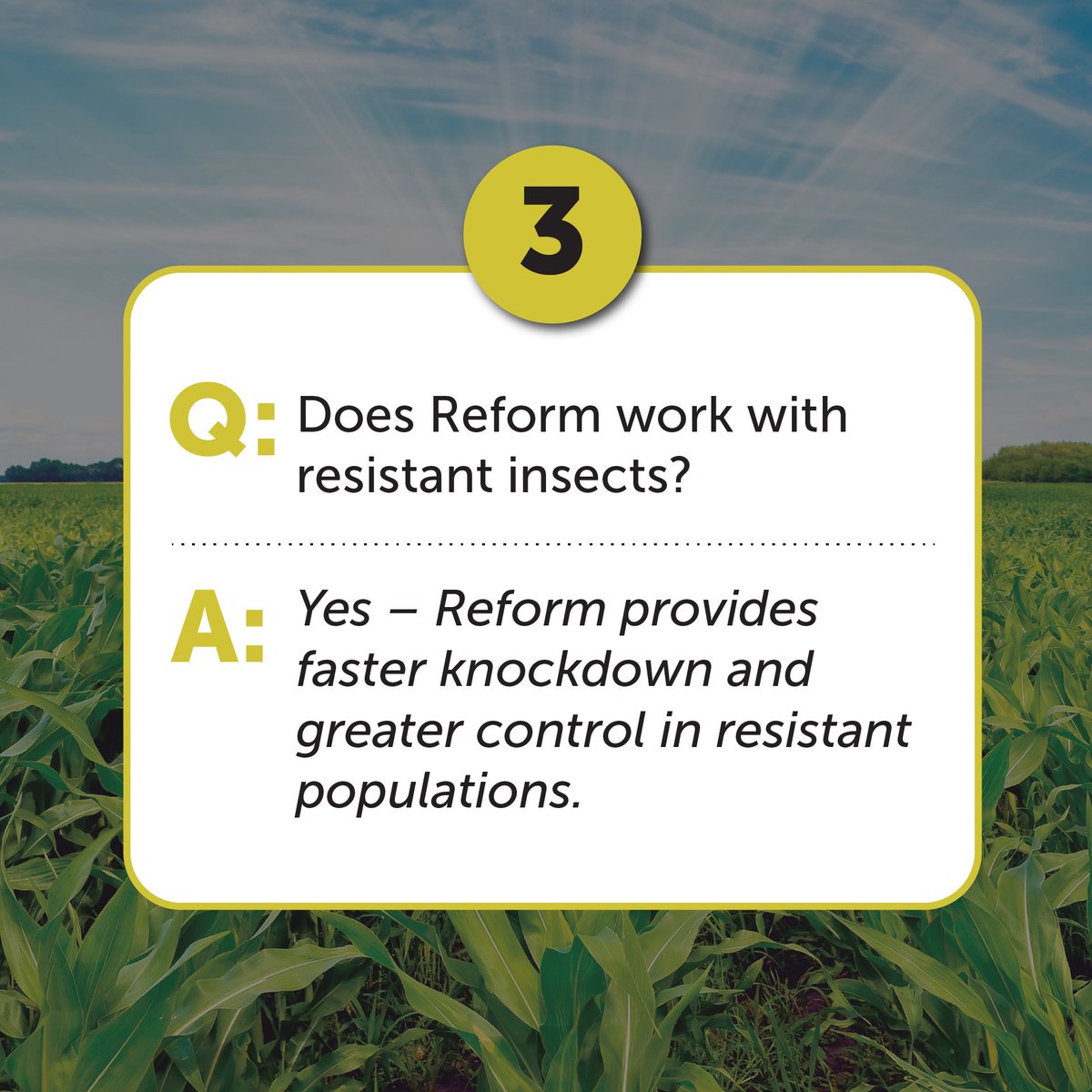 Our new insecticide synergist, Reform, provides greater insect control when paired with an insecticide. Swipe through to learn more!